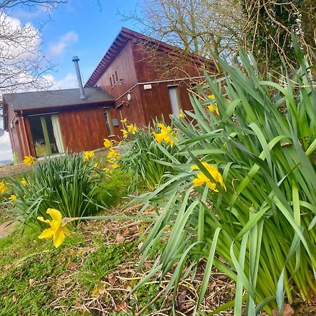 Ballyhoura Mountain Lodges Ballyorgan Eksteriør billede