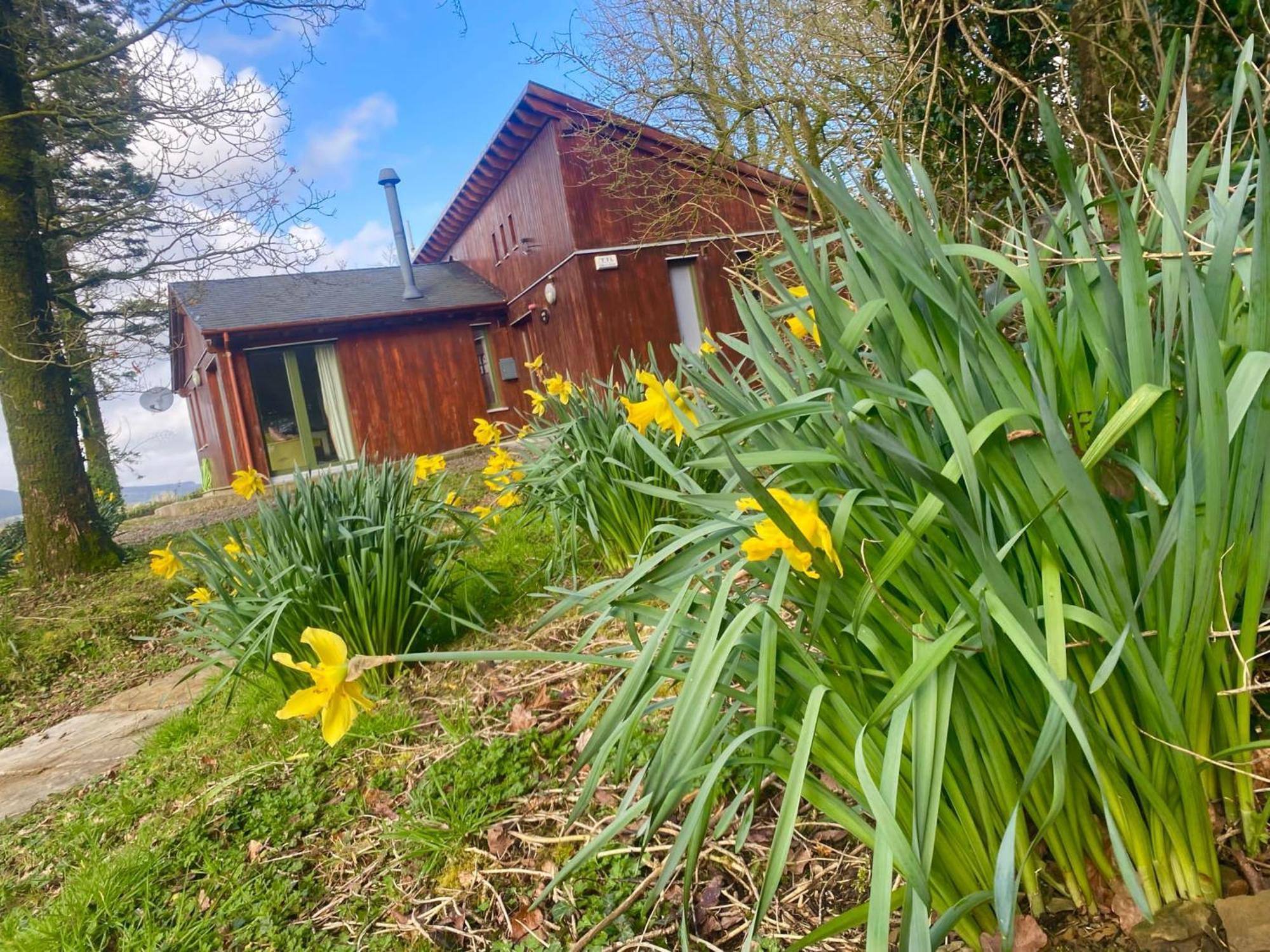 Ballyhoura Mountain Lodges Ballyorgan Eksteriør billede